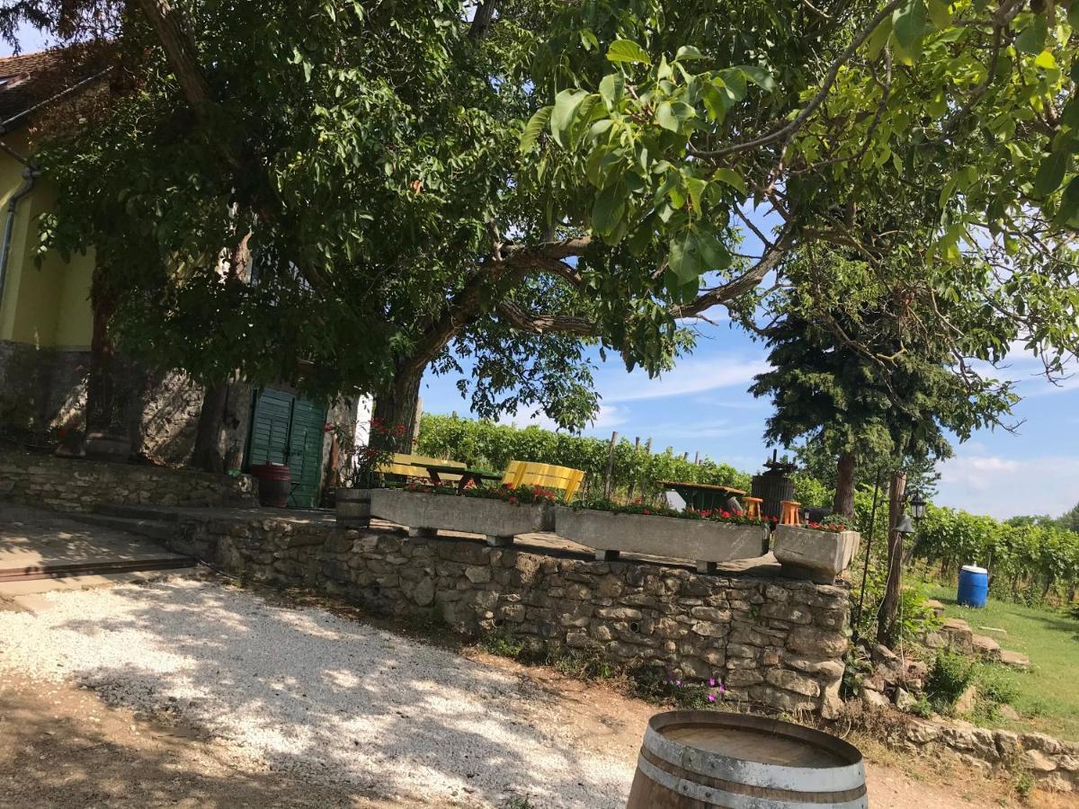 Güns Vendégház Szigliget Exterior foto
